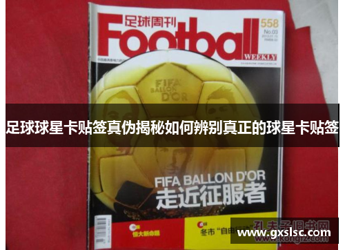 足球球星卡贴签真伪揭秘如何辨别真正的球星卡贴签
