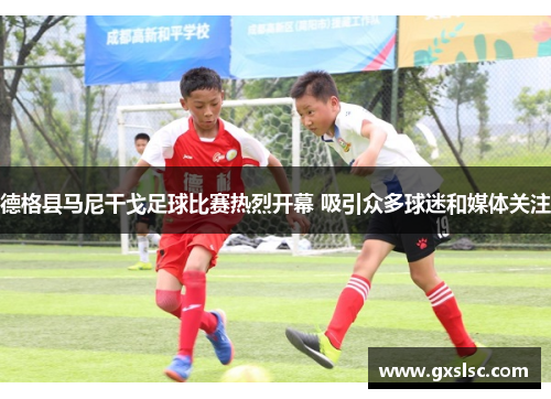 德格县马尼干戈足球比赛热烈开幕 吸引众多球迷和媒体关注